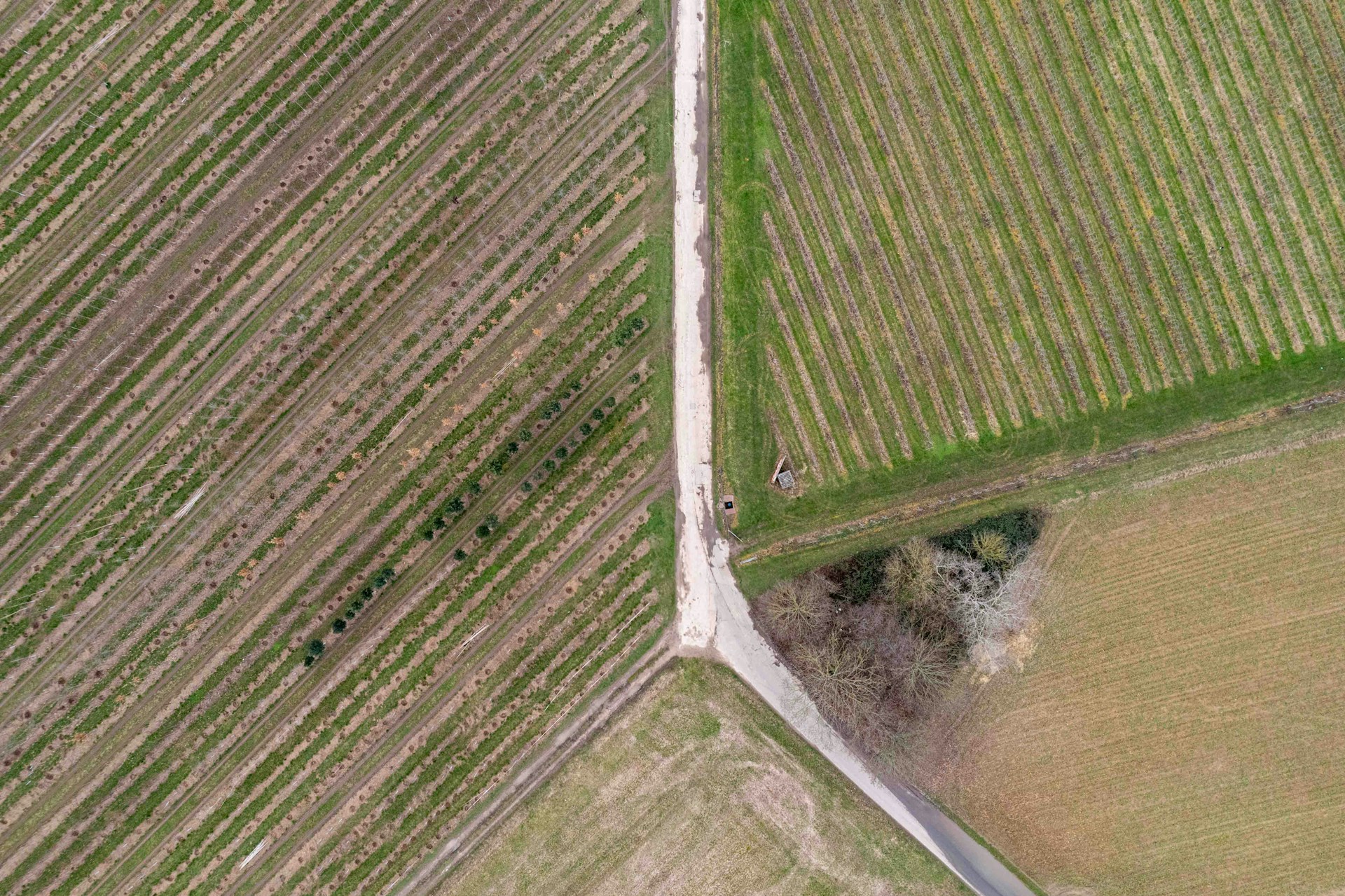 An aerial view of green fields with a road cutting through the landscape