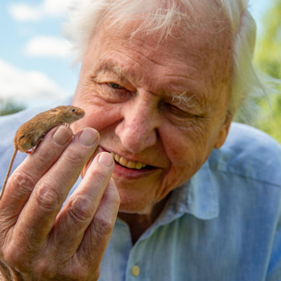 David Attenborough