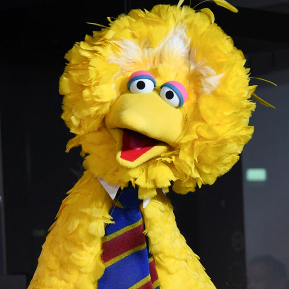 Big Bird
