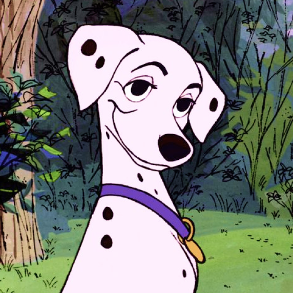 Perdita